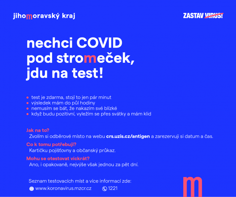 testování