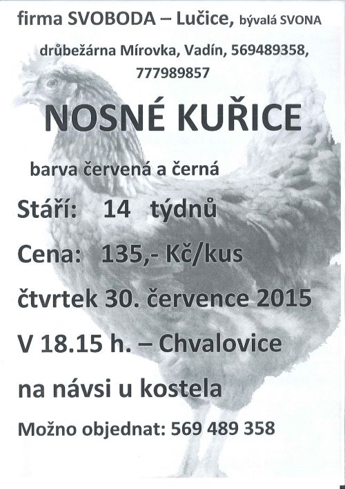 Prodej nosných kuřic