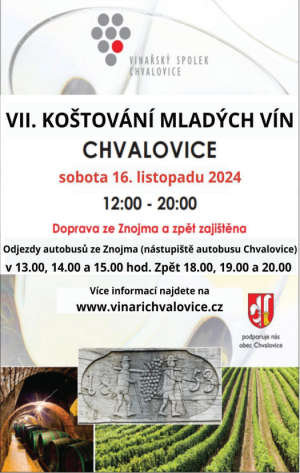 Koštování mladých vín